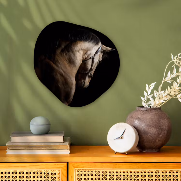 Organische Formen – Aluminium – Paarden - Halster - Zwart — 2