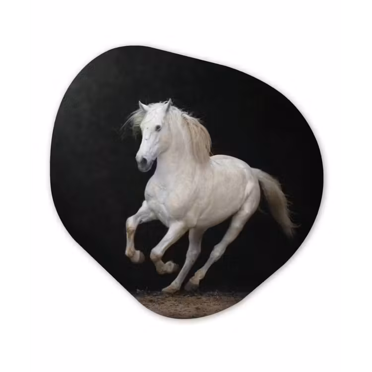 Organische Formen – Aluminium – Paarden - Zwart - Portret — 1