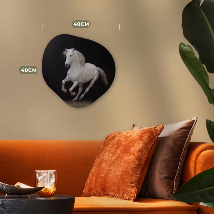 Organische Formen – Aluminium – Paarden - Zwart - Portret — 4