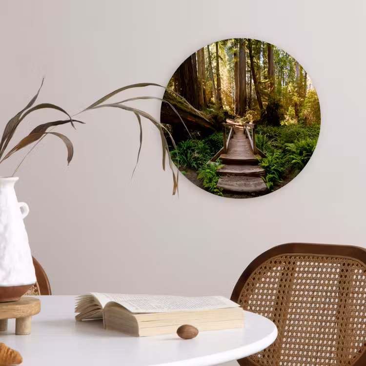 Muurcirkel - Jungle - Natuur - Trap - Bomen — 4