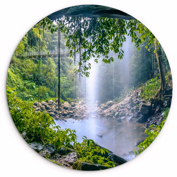 Muurcirkel - Jungle - Regenwoud - Water - Waterval - Planten — 1