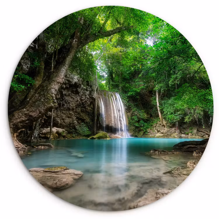Muurcirkel - Jungle - Waterval - Planten - Water - Natuur — 1