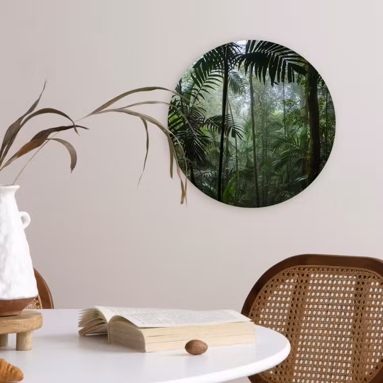Muurcirkel - Regenwoud - Tropisch - Jungle - Bomen - Planten — 4