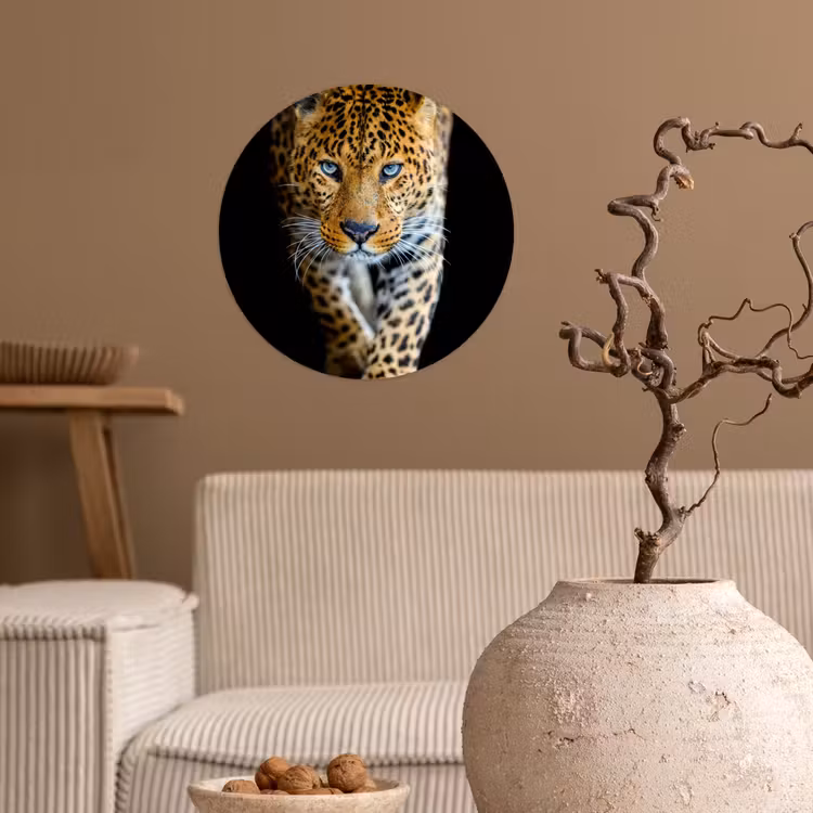 Behangcirkel - Luipaard - Dieren - Portret - Wilde dieren - Zwart — 2