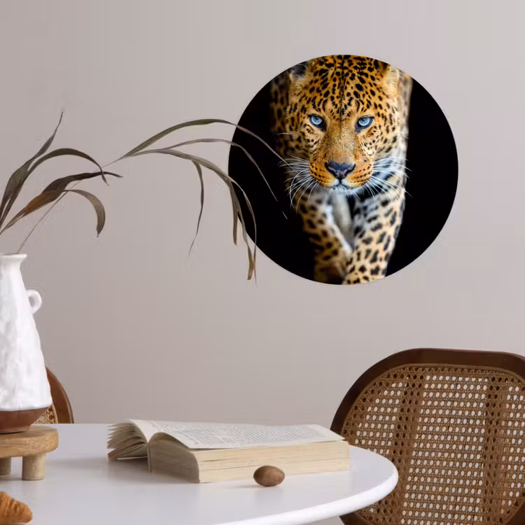 Behangcirkel - Luipaard - Dieren - Portret - Wilde dieren - Zwart — 4