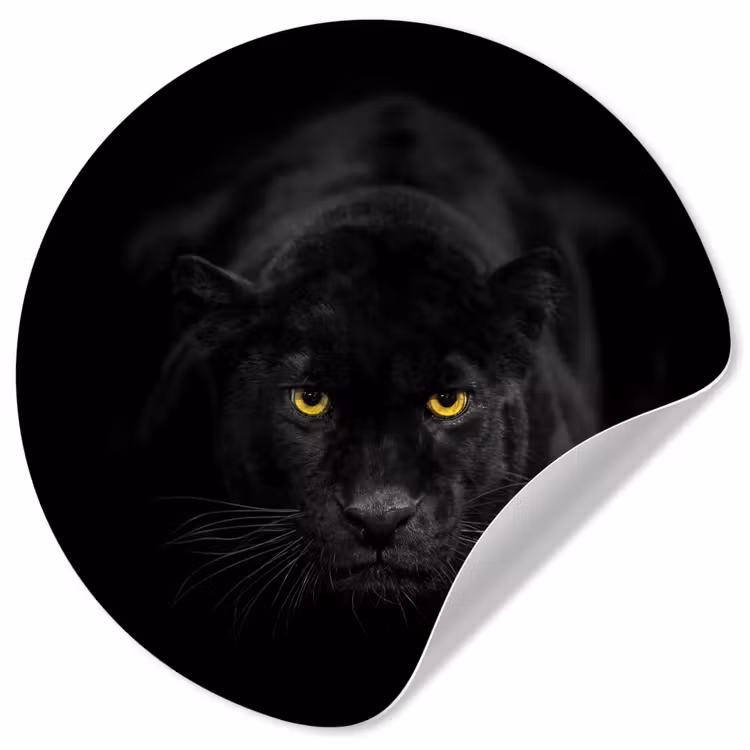 Behangcirkel - Panter - Dieren - Zwart - Ogen — 1