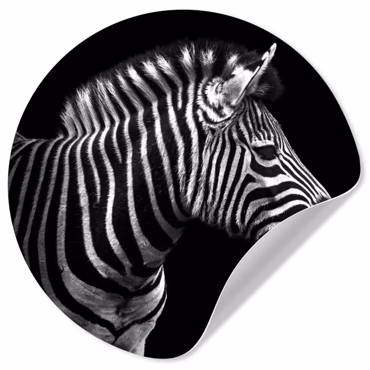 Behangcirkel - Zebra - Zwart - Wit - Portret - Dieren — 1