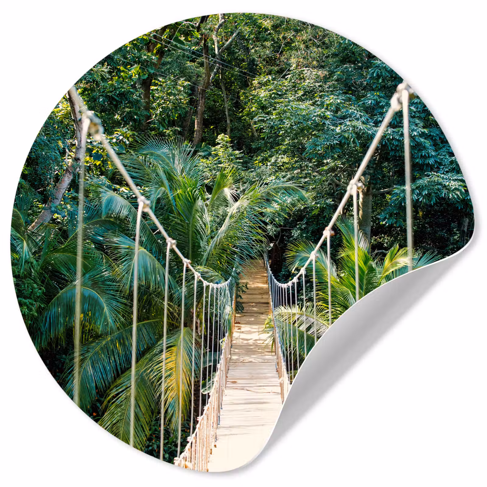 Behangcirkel - Jungle - Palmboom - Brug - Natuur - Planten — 1