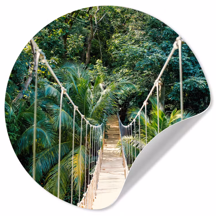 Behangcirkel - Jungle - Palmboom - Brug - Natuur - Planten — 1