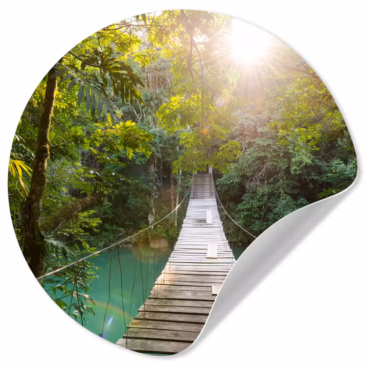 Behangcirkel - Jungle - Water - Brug - Natuur - Planten — 1