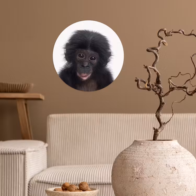 Behangcirkel - Aap - Chimpansee - Portret - Kinderen - Jongens - Meisjes — 2