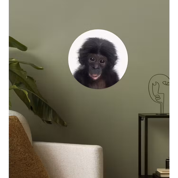 Behangcirkel - Aap - Chimpansee - Portret - Kinderen - Jongens - Meisjes — 3