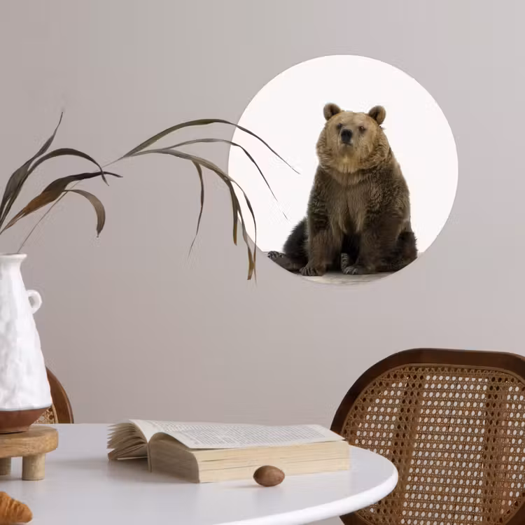 Behangcirkel - Bruine beer - Dieren - Beer - Schattig - Jongens - Meisjes — 4