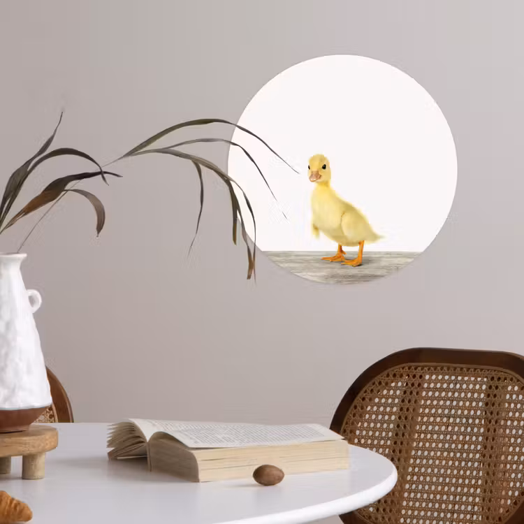 Behangcirkel - Eend - Kuiken - Dieren - Lief - Meisjes - Jongens - Kinderen — 4