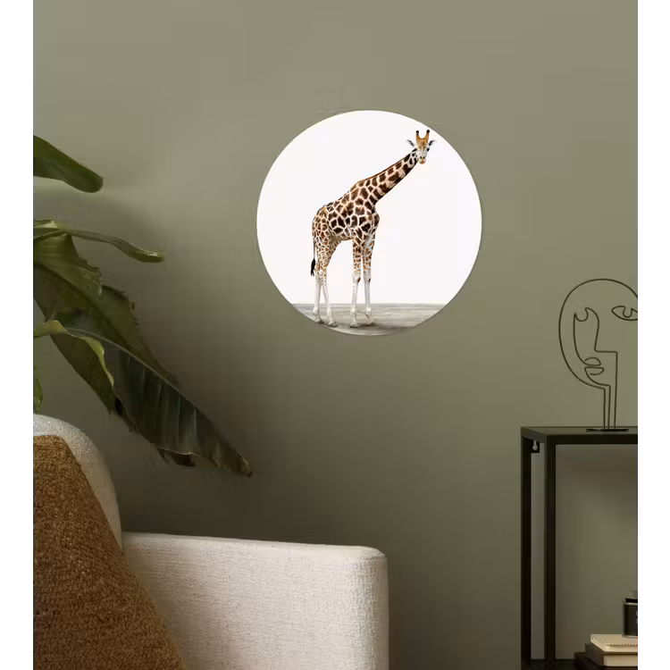 Behangcirkel - Giraffe - Dieren - Witte achtergrond - Kinderen - Jongen - Meisje — 3