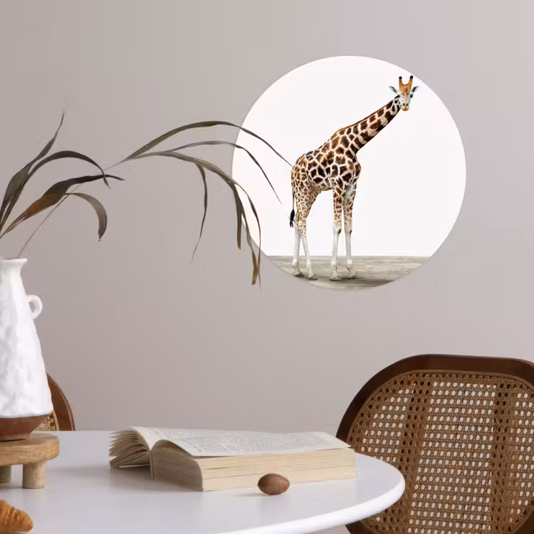Behangcirkel - Giraffe - Dieren - Witte achtergrond - Kinderen - Jongen - Meisje — 4