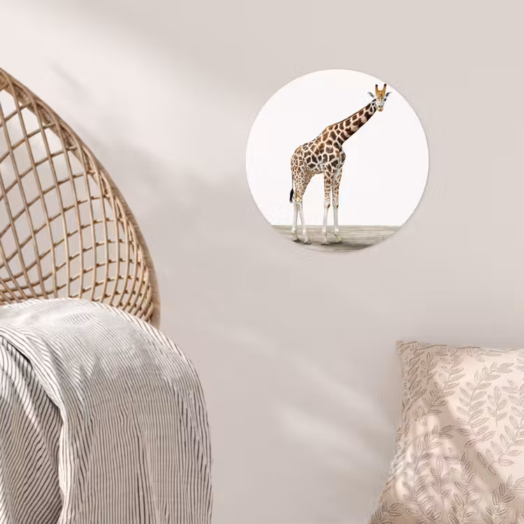 Behangcirkel - Giraffe - Dieren - Witte achtergrond - Kinderen - Jongen - Meisje — 5