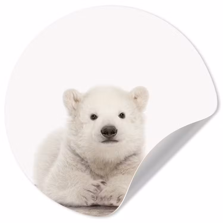 Behangcirkel - IJsbeer - Dieren - Kinderen - Wit - Jongens - Meisjes — 1