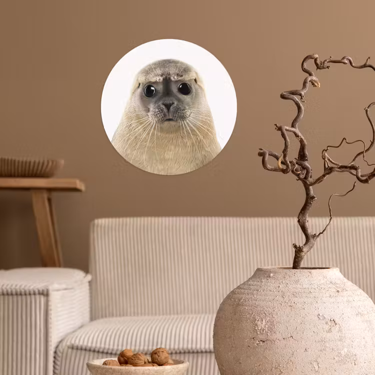 Behangcirkel - Jongens - Zeehond - Kinderen - Meisjes - Dieren — 2