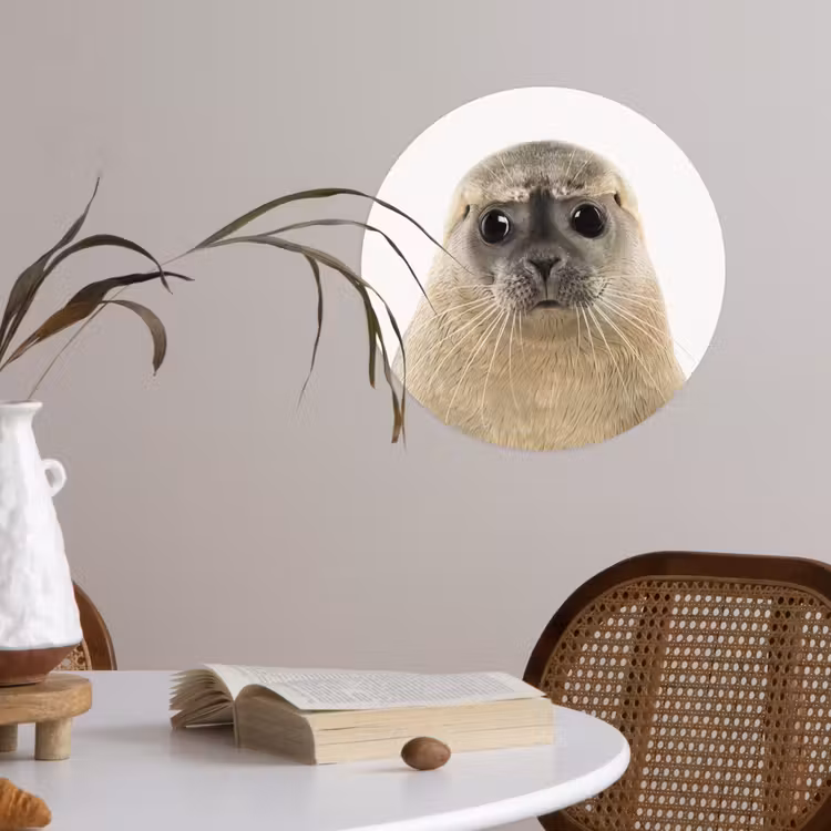 Behangcirkel - Jongens - Zeehond - Kinderen - Meisjes - Dieren — 4