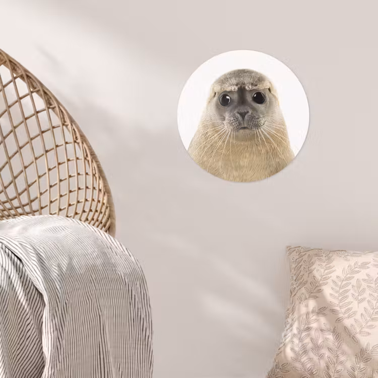 Behangcirkel - Jongens - Zeehond - Kinderen - Meisjes - Dieren — 5