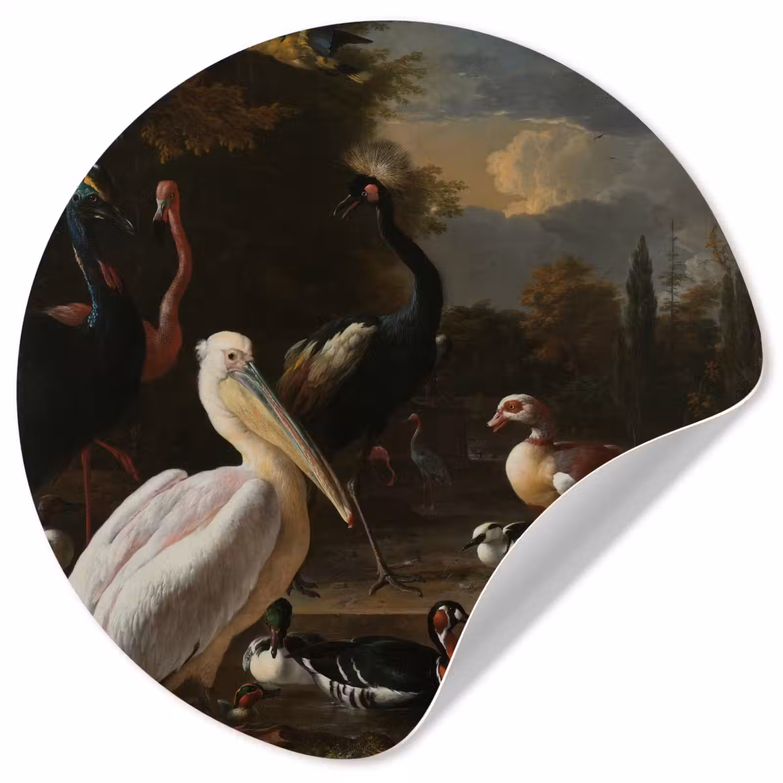Behangcirkel - Een pelikaan en ander gevogelte bij een waterbassin - Schilderij van Melchior d'Hondecoeter — 1
