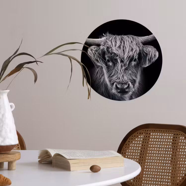 Behangcirkel - Schotse hooglander - Zwart - Koe - Dieren — 4