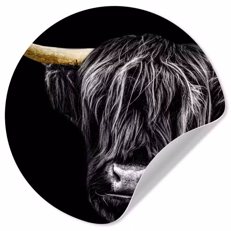 Behangcirkel - Schotse hooglander - Goud - Vacht - Dieren - Koe