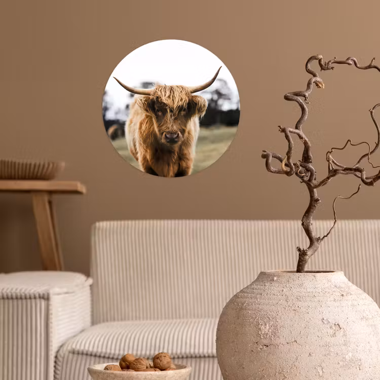 Behangcirkel - Schotse Hooglander - Koe - Gras - Dieren - Natuur — 2