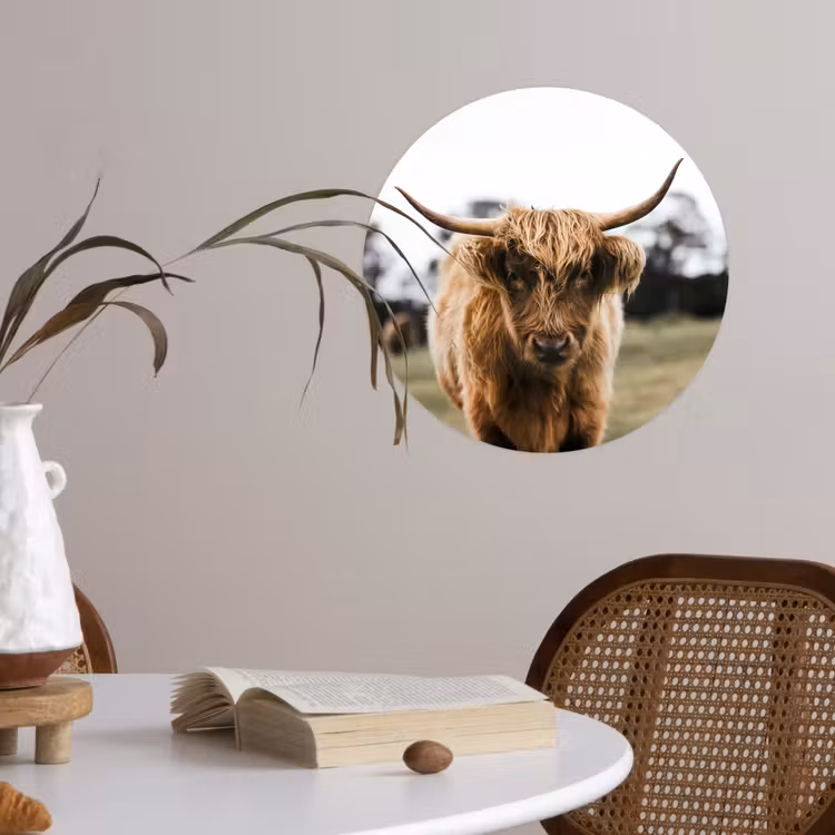 Behangcirkel - Schotse Hooglander - Koe - Gras - Dieren - Natuur — 4