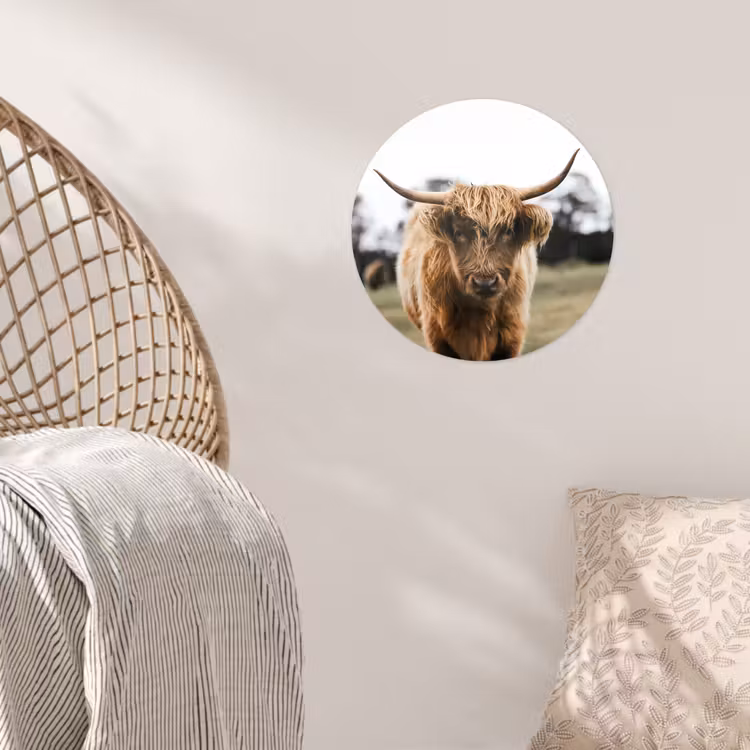 Behangcirkel - Schotse Hooglander - Koe - Gras - Dieren - Natuur — 5