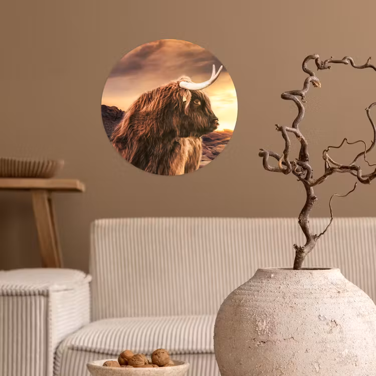Behangcirkel - Schotse hooglander - Zon - Horizon - Koe - Dieren — 2