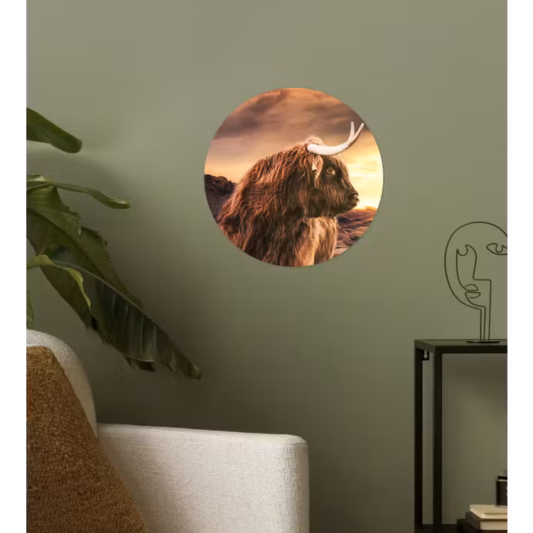 Behangcirkel - Schotse hooglander - Zon - Horizon - Koe - Dieren — 3