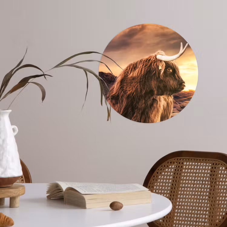 Behangcirkel - Schotse hooglander - Zon - Horizon - Koe - Dieren — 4