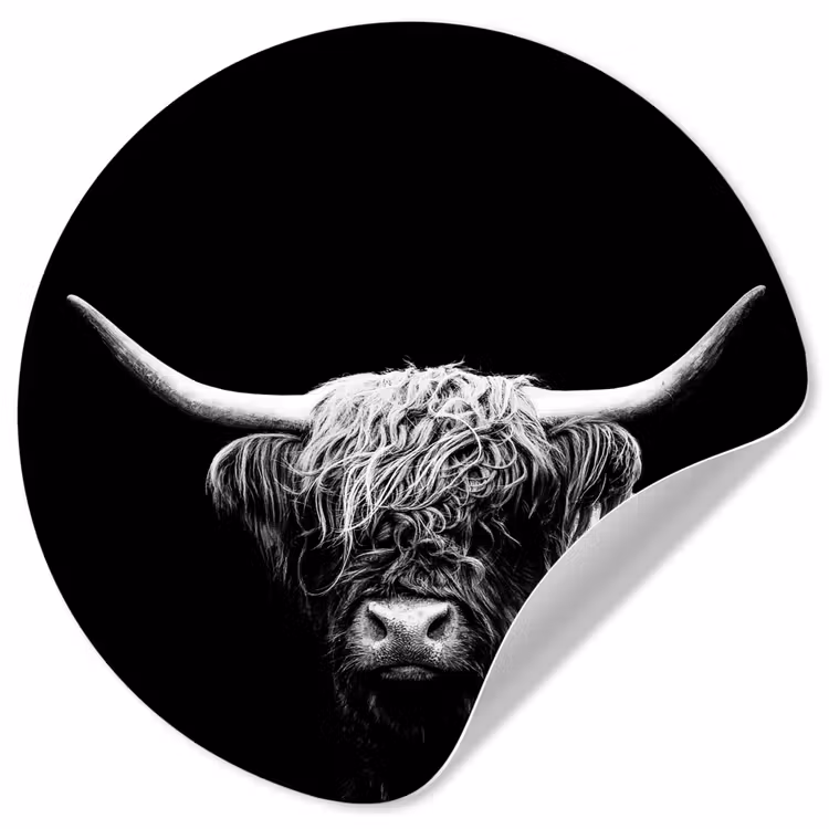Behangcirkel - Schotse Hooglander - Koe - Zwart - Wit - Dieren