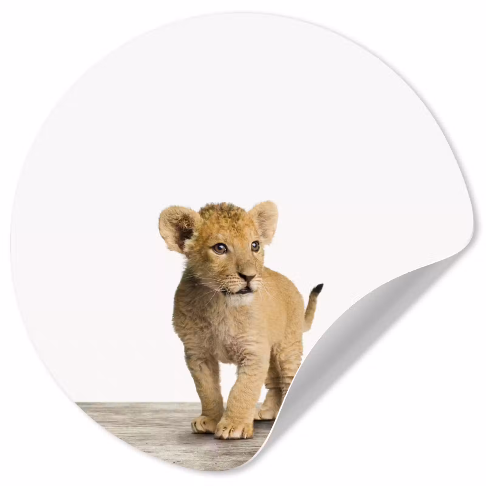 Behangcirkel - Leeuw - Welp - Kinderen - Jongens - Dieren - Meisjes — 1