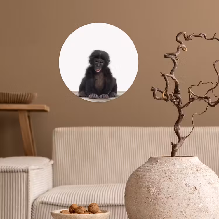 Behangcirkel - Kind - Aap - Chimpansee - Baby dieren - Jongens - Meiden — 2