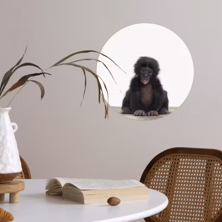 Behangcirkel - Kind - Aap - Chimpansee - Baby dieren - Jongens - Meiden — 4