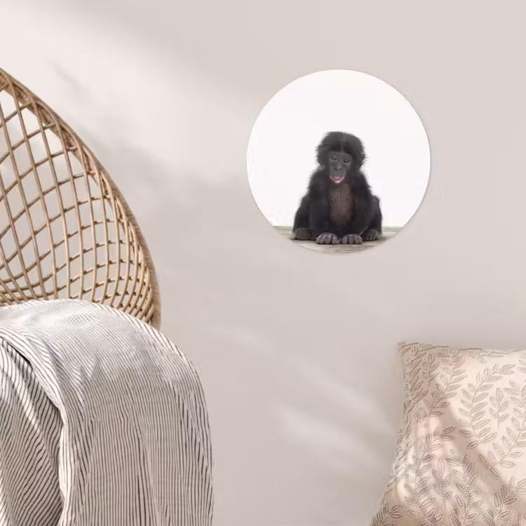 Behangcirkel - Kind - Aap - Chimpansee - Baby dieren - Jongens - Meiden — 5