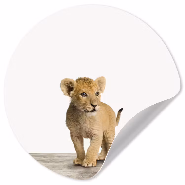 Behangcirkel - Leeuw - Welp - Kinderen - Jongens - Dieren - Meisjes — 1