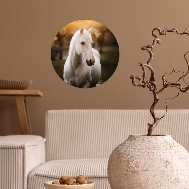 Behangcirkel - Paard - Zon - Herfst - Dieren - Natuur — 2