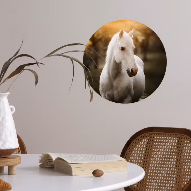 Behangcirkel - Paard - Zon - Herfst - Dieren - Natuur — 4
