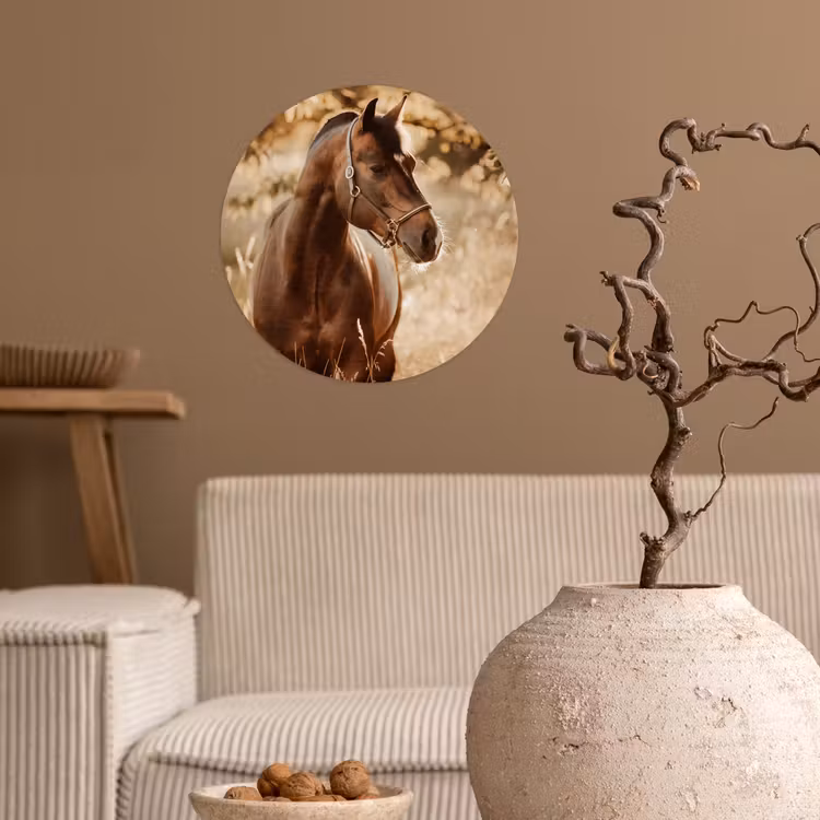 Behangcirkel - Paard - Zon - Portret - Natuur - Bruin — 2