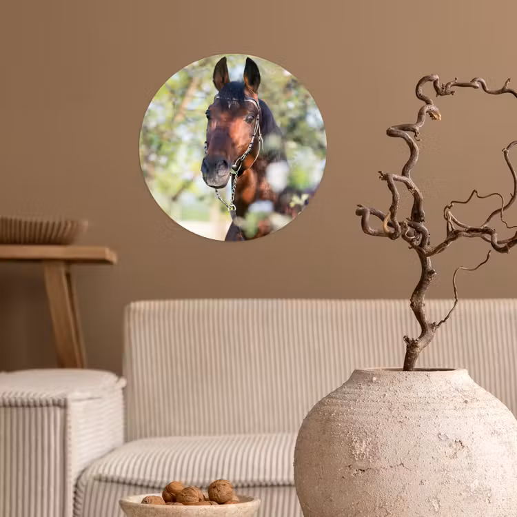 Behangcirkel - Paarden - Bloesem - Lente - Dieren — 2