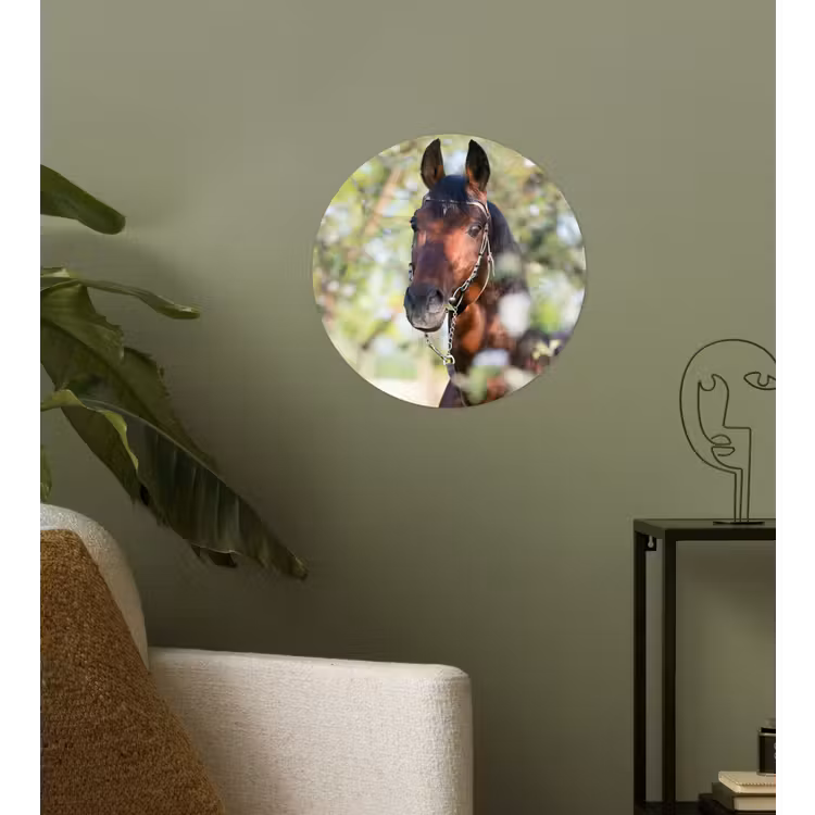 Behangcirkel - Paarden - Bloesem - Lente - Dieren — 3