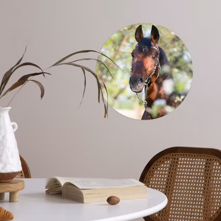 Behangcirkel - Paarden - Bloesem - Lente - Dieren — 4