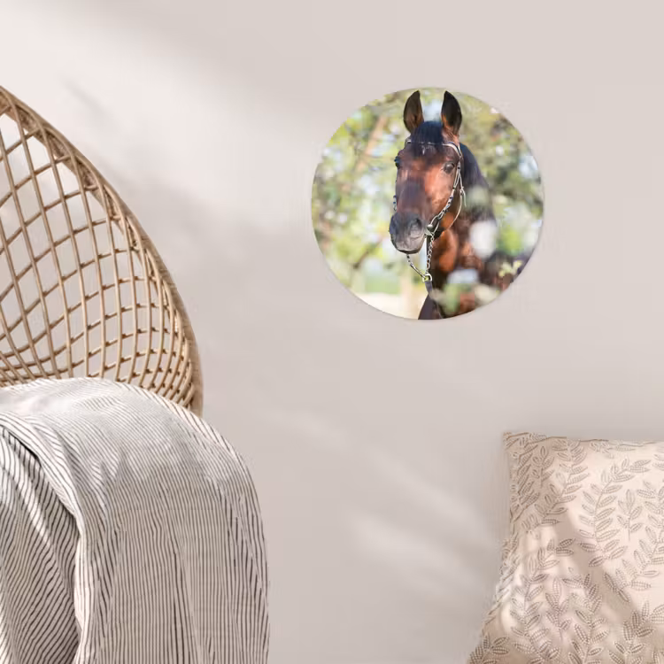 Behangcirkel - Paarden - Bloesem - Lente - Dieren — 5
