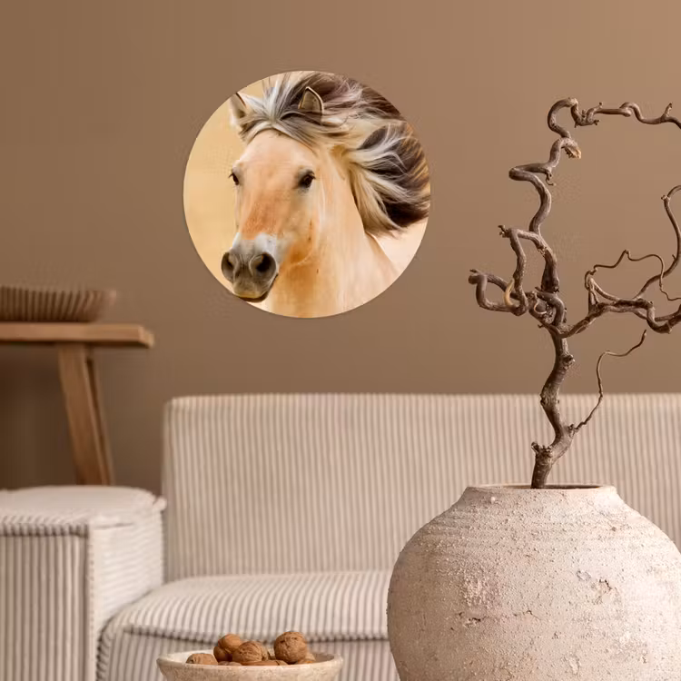 Behangcirkel - Paarden - Dieren - Manen - Portret — 2