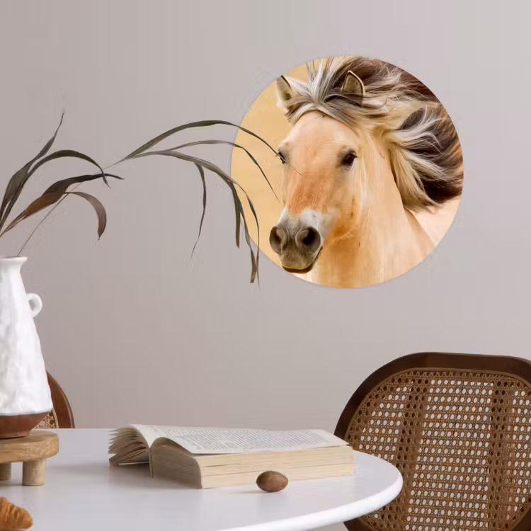 Behangcirkel - Paarden - Dieren - Manen - Portret — 4