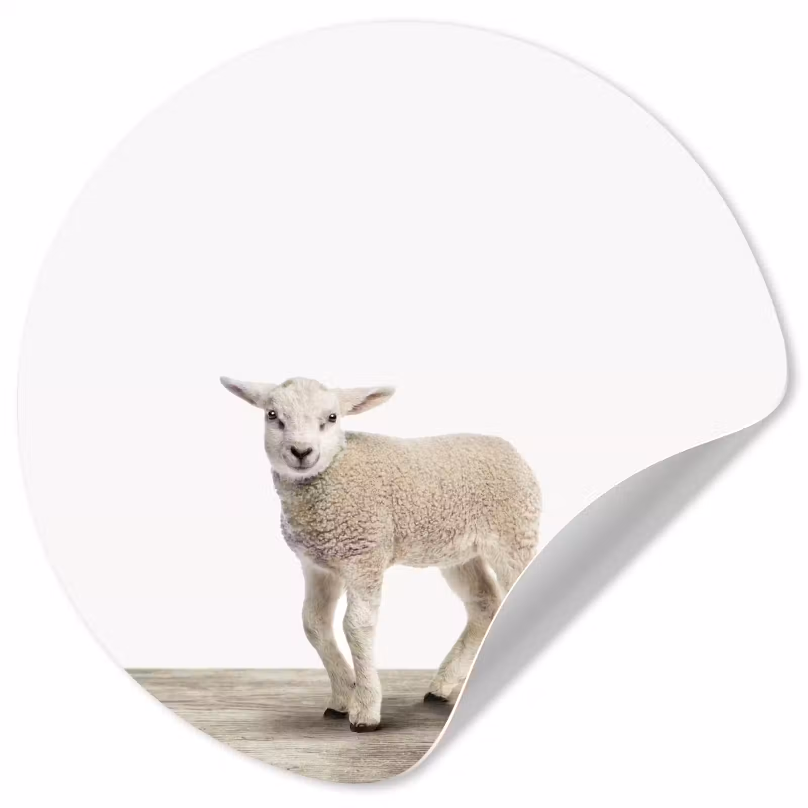 Behangcirkel - Lammetje - Schaap - Dieren - Kinderen - Meisjes - Jongens — 1